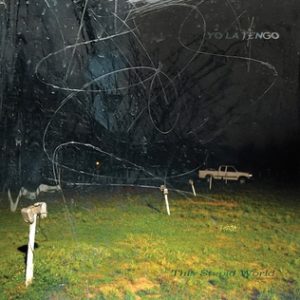 Yo La Tengo, This Stupid World
