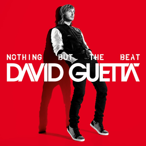 David Guetta, Nothing but the Beat