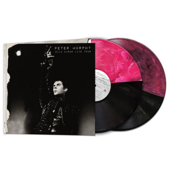 Peter Murphy, Wild Birds Live Tour - Image 2