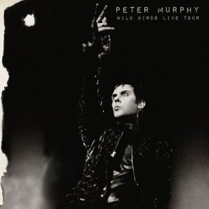Peter Murphy, Wild Birds Live Tour