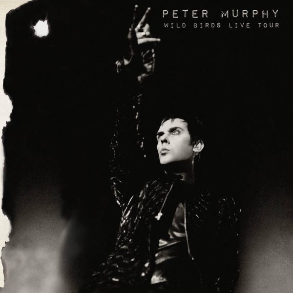 Peter Murphy, Wild Birds live tour
