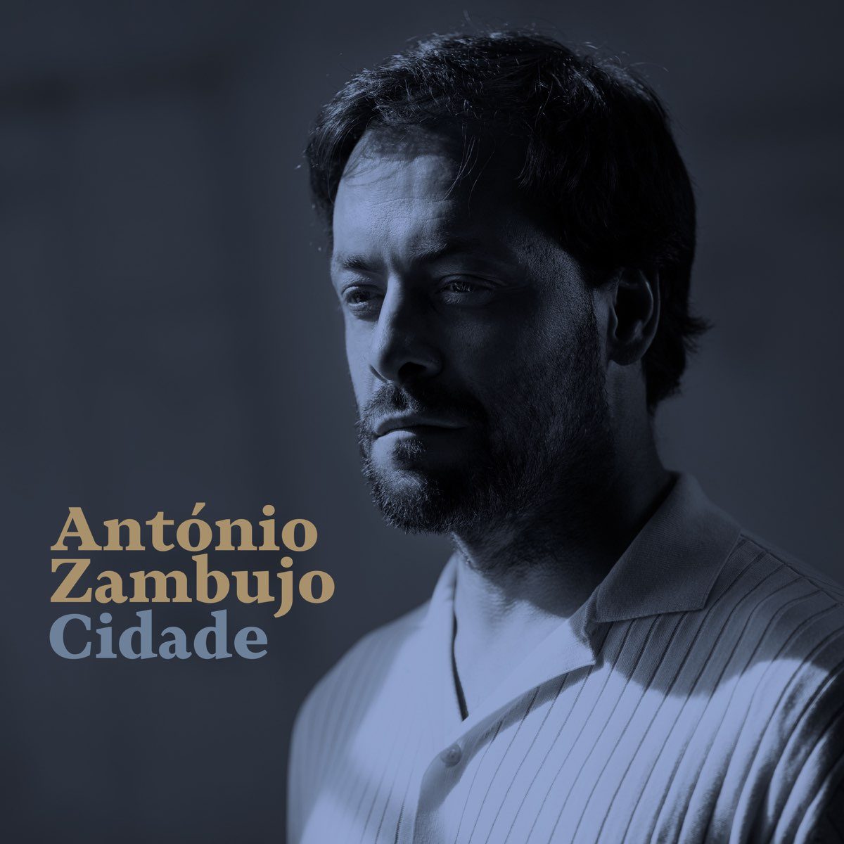 António Zambujo, Cidade