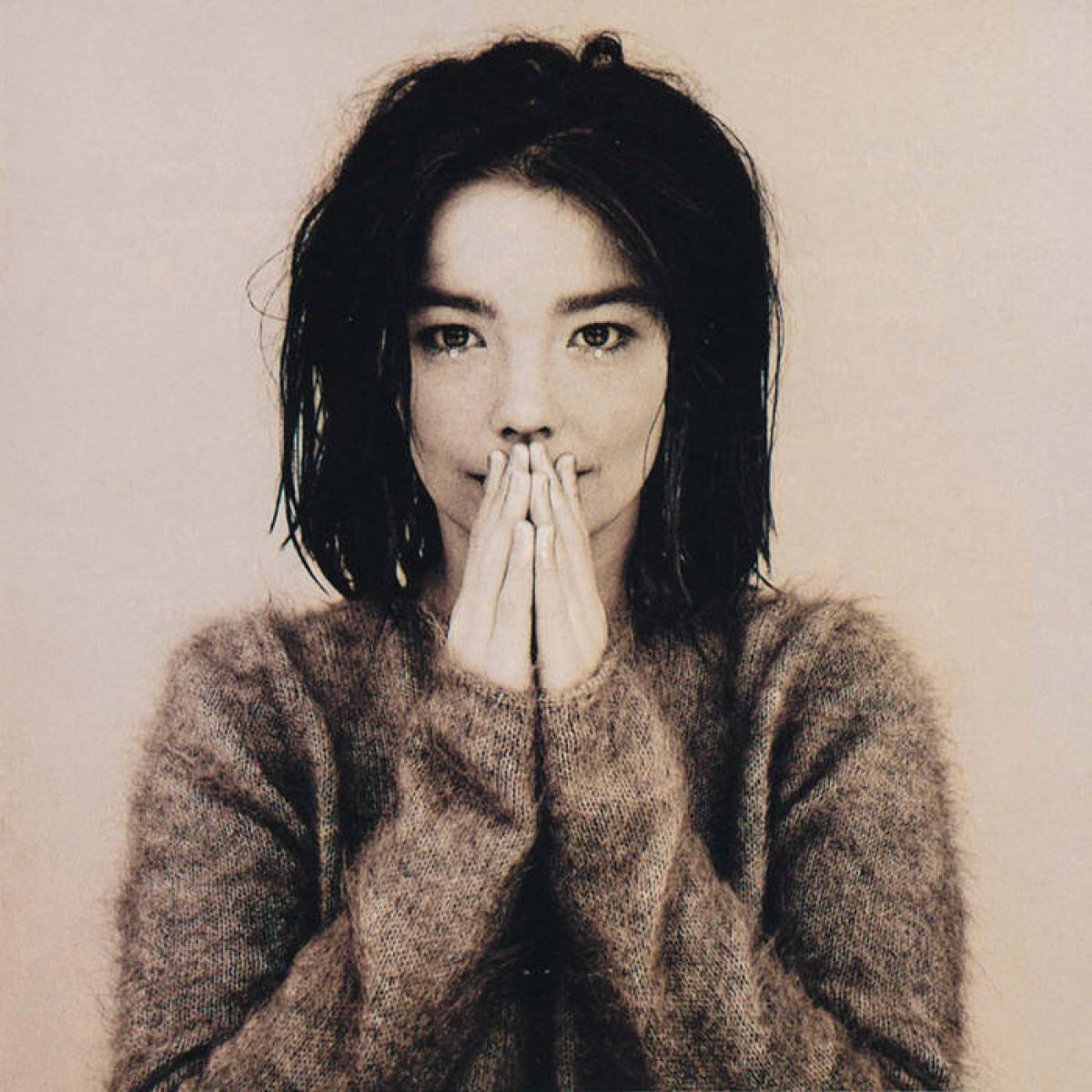 Björk, Björk