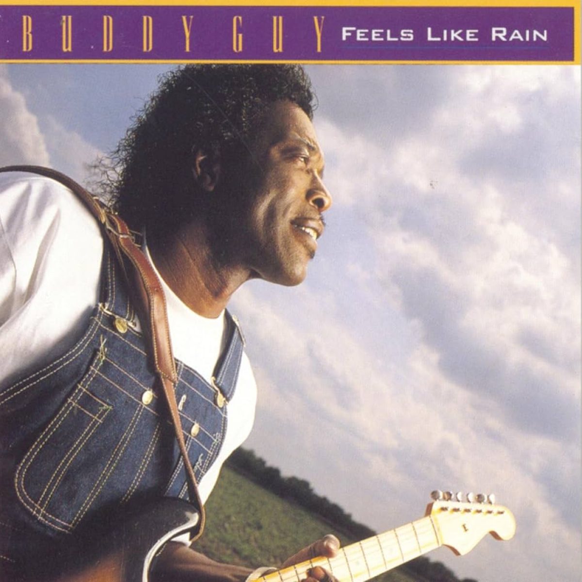 Buddy Guy, Feels Like Rain