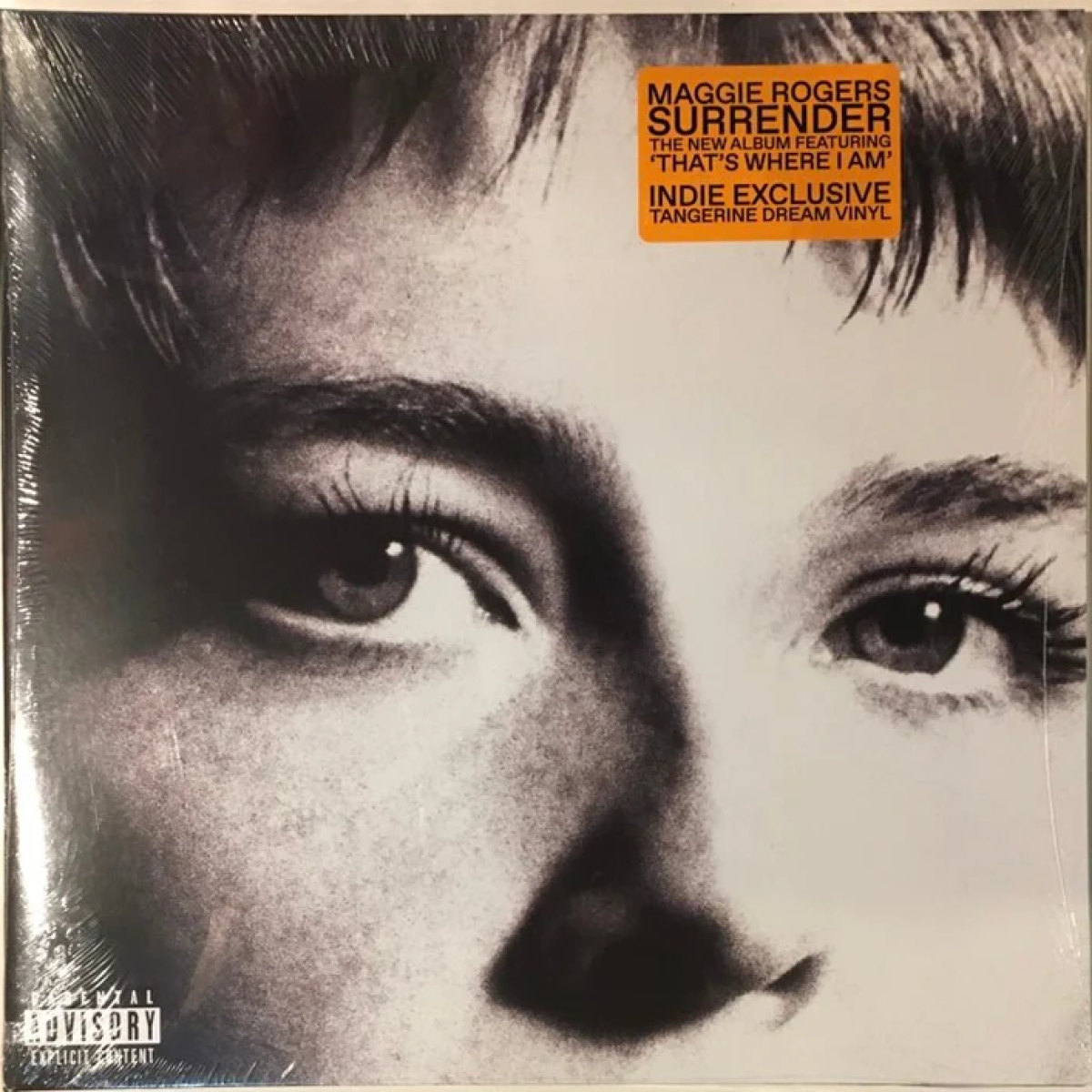 Maggie Rogers, Surrender