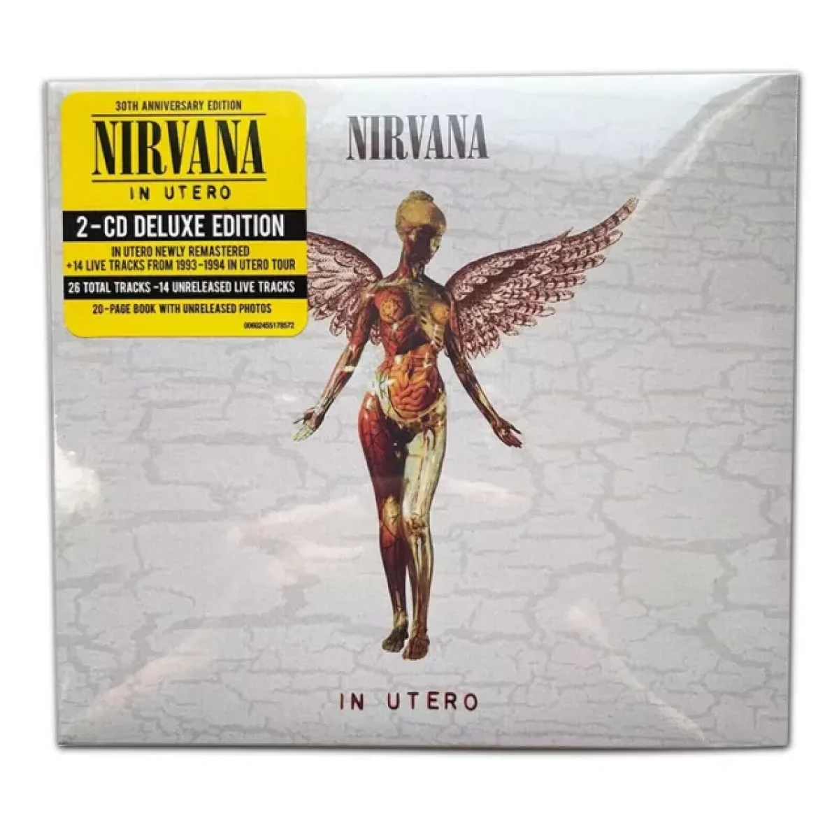Nirvana, In Utero 30