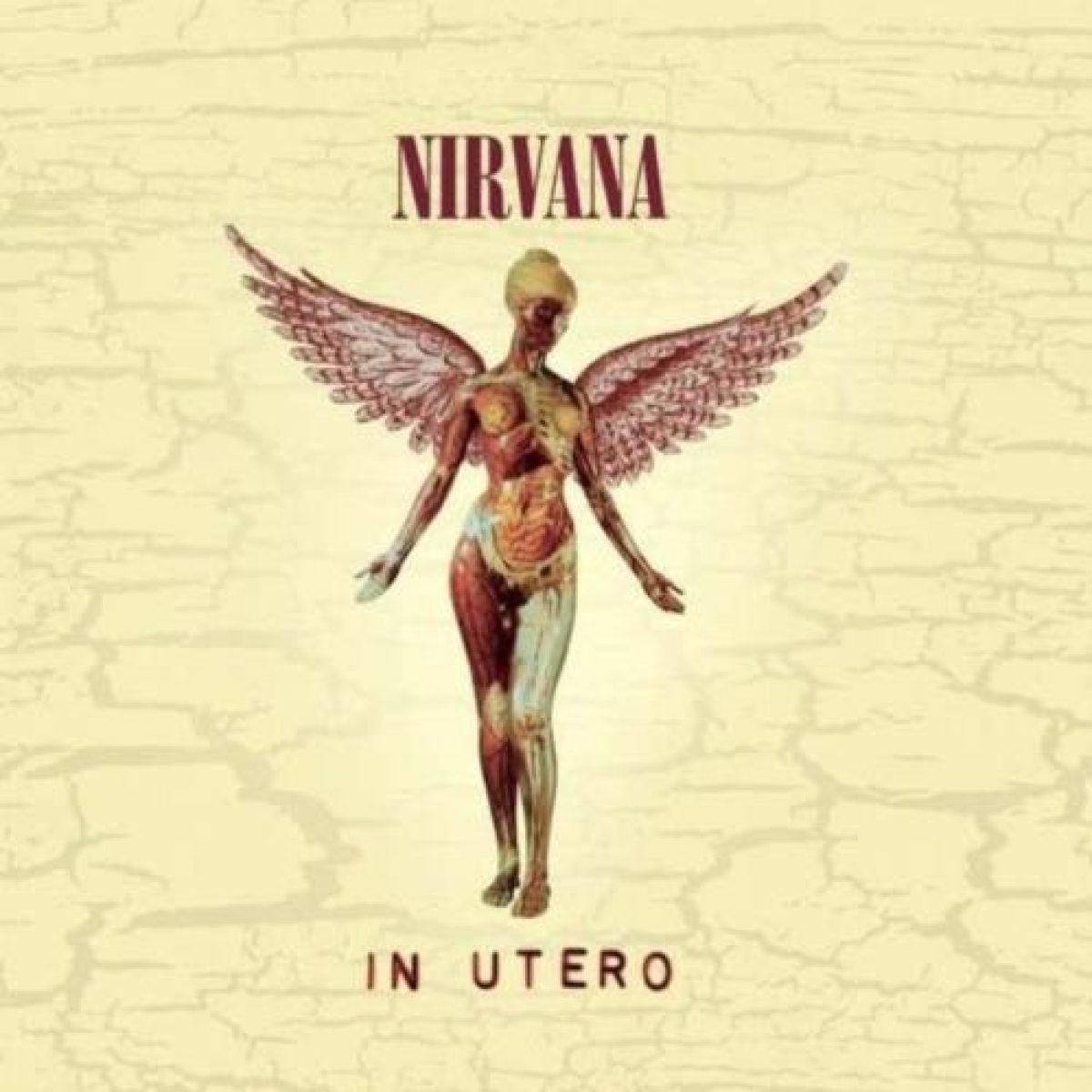 Nirvana, In Utero cd