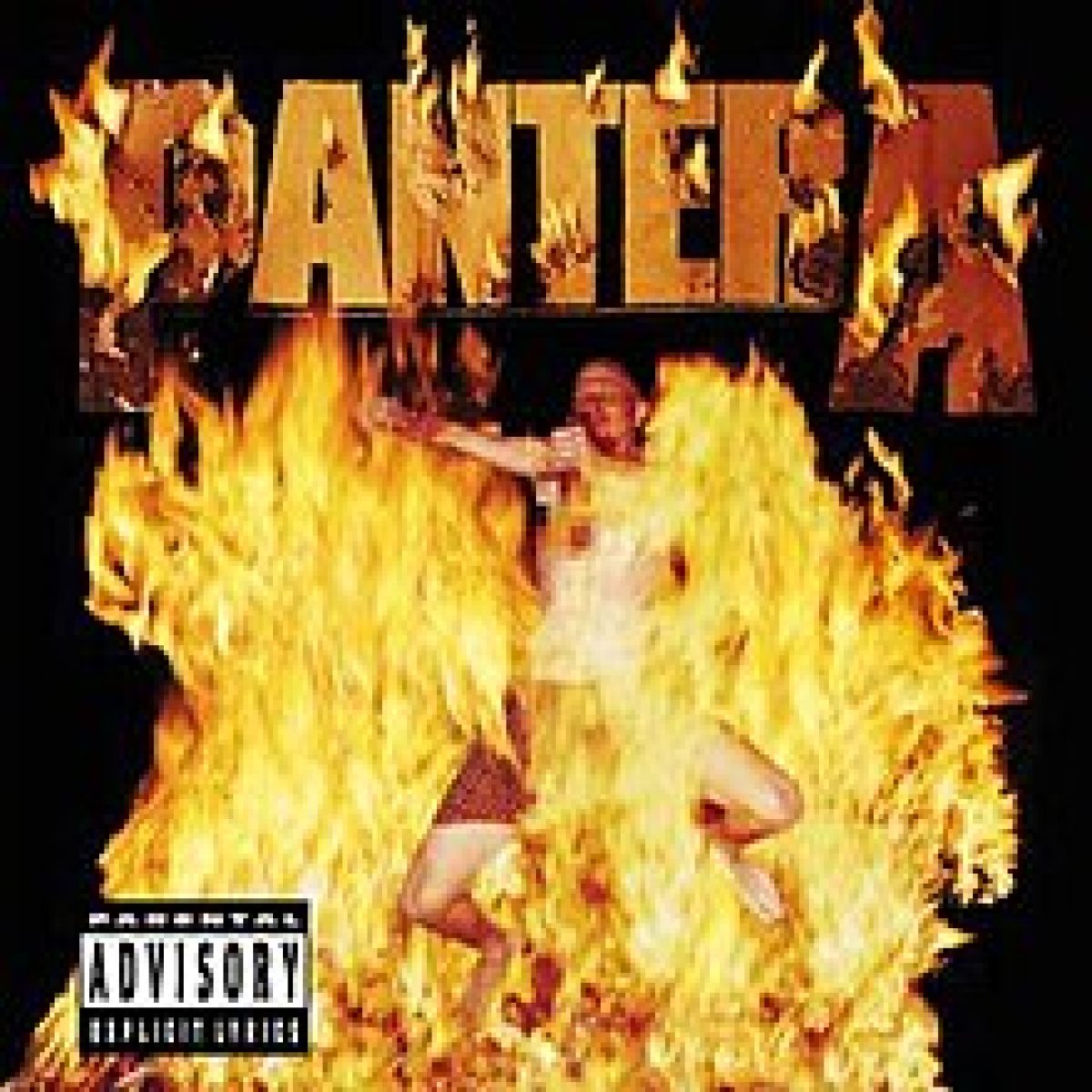 Pantera, Reinventing the Steel
