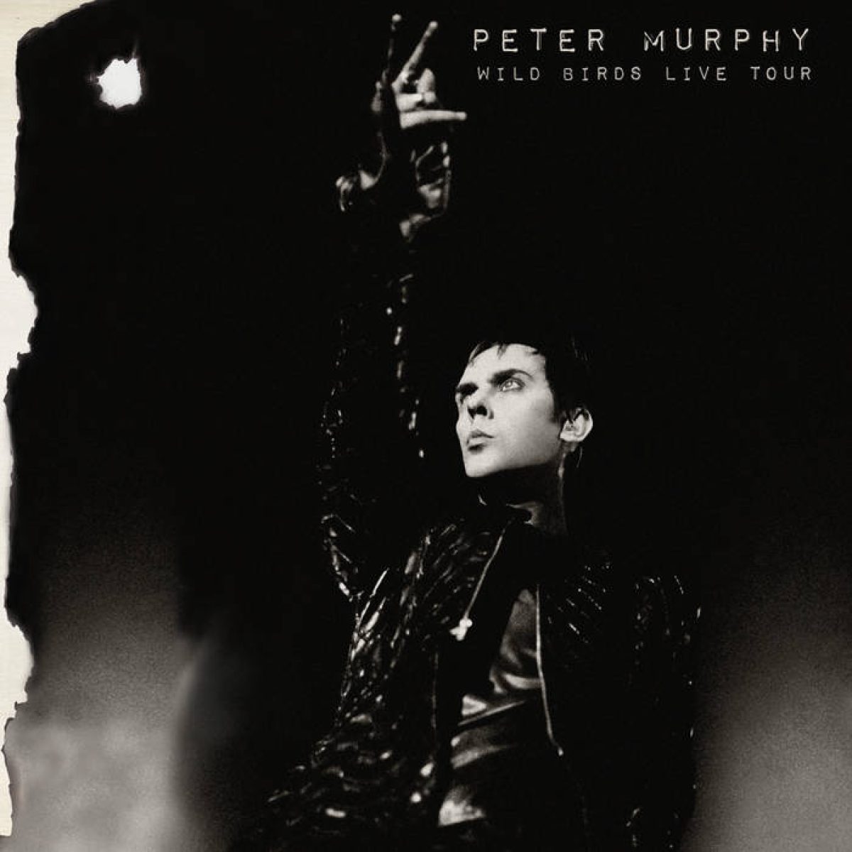 Peter Murphy, Wild Birds Live Tour