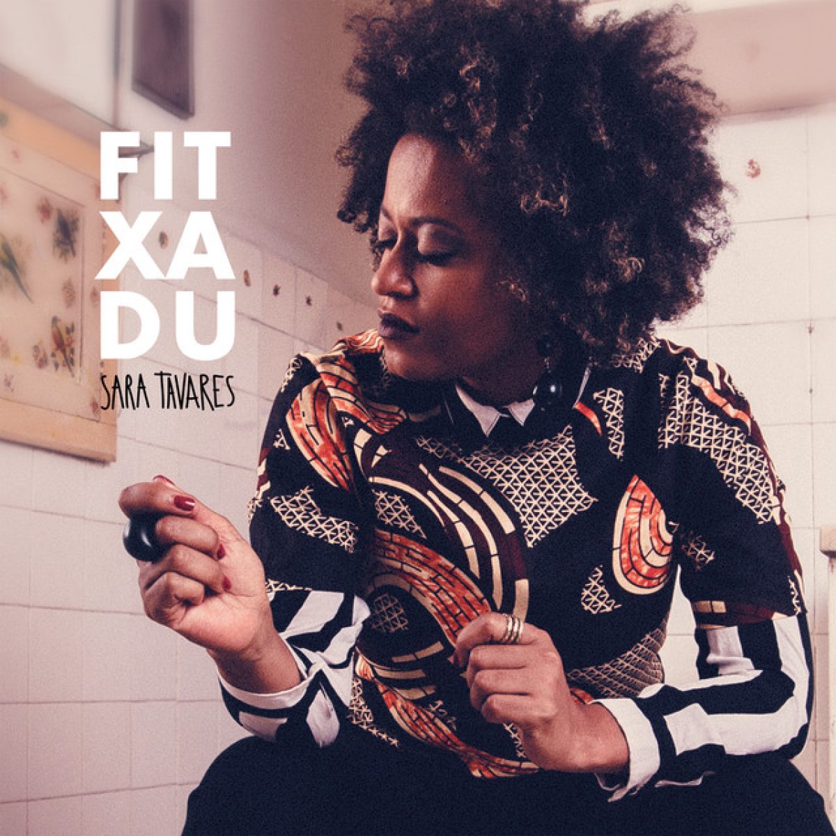 Sara Tavares, Fitxadu
