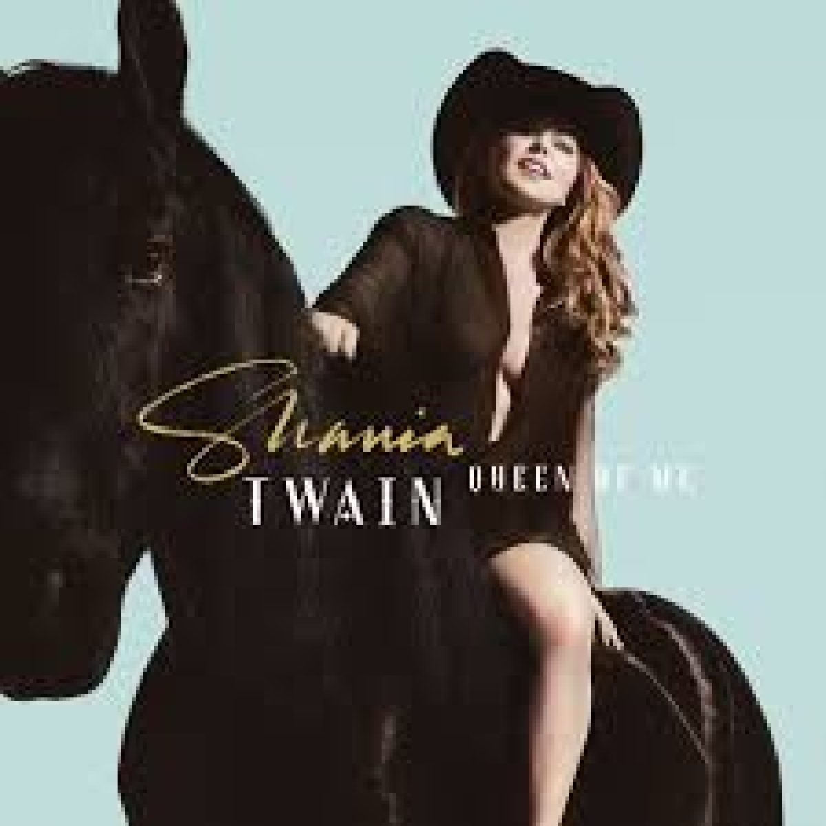 Shania Twain, Queen of me