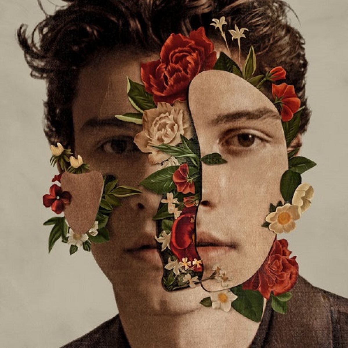 Shawn Mendes, Shawn Mendes