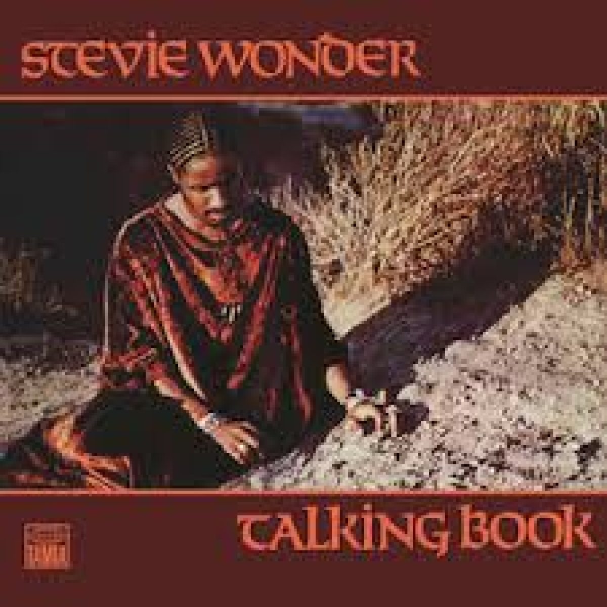 Stevie Wonder, Talking Book