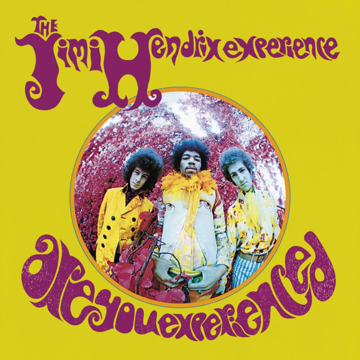 The Jimi Hendrix Emperience, Are you experienced