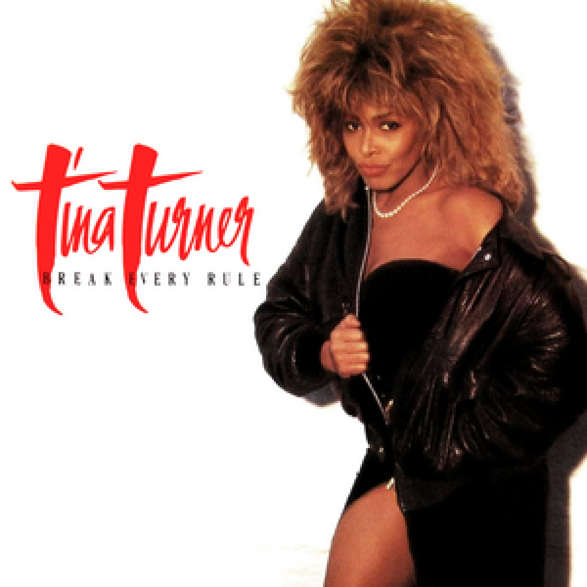 Tina Turner, Break Every Rule