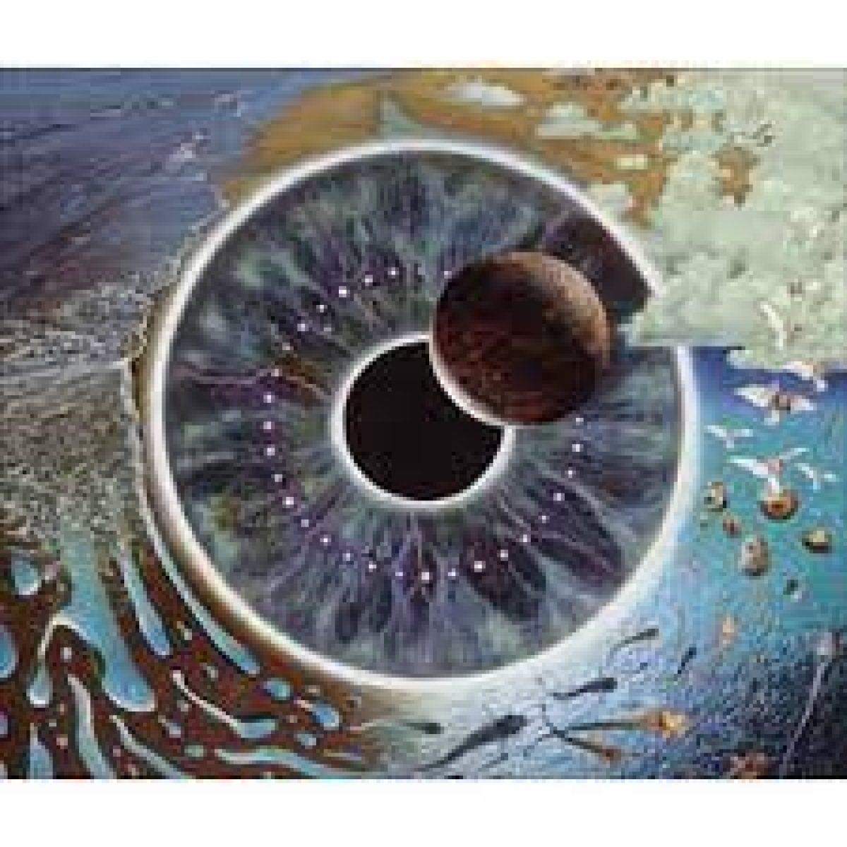 pink floyd pulse
